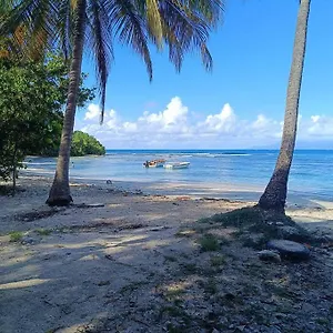T1 Bis A Proximite De La Appartement Le Gosier (Grande-Terre)